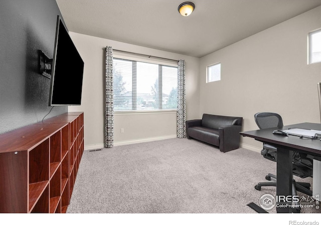 873 Signal Ct, Timnath, CO 80547 - office space with baseboards and carpet flooring