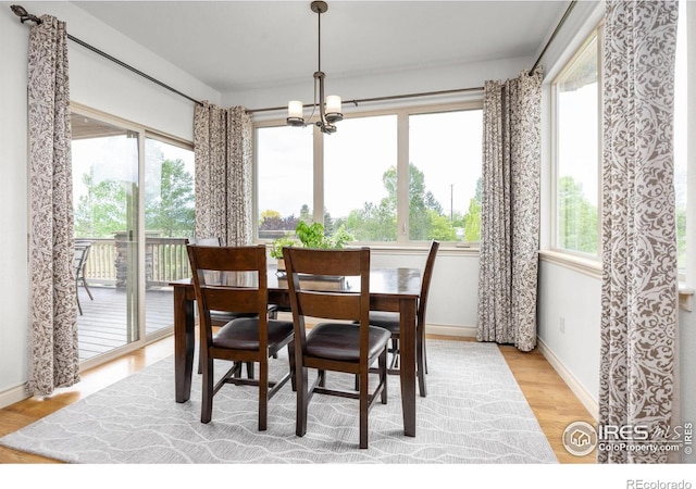 873 Signal Ct, Timnath, CO 80547 - dining area featuring a chandelier, light wood finished floors, and baseboards