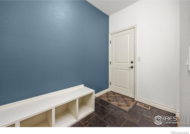 873 Signal Ct, Timnath, CO 80547 - mudroom with baseboards and dark stone finish flooring