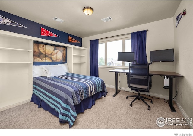 873 Signal Ct, Timnath, CO 80547 - carpeted bedroom with baseboards and a desk