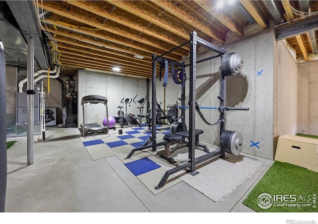 873 Signal Ct, Timnath, CO 80547 - view of exercise area