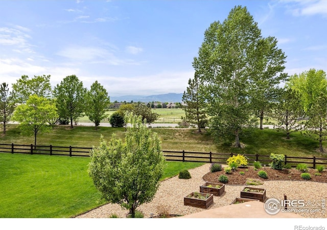 873 Signal Ct, Timnath, CO 80547 - view of yard featuring a garden and a view of countryside