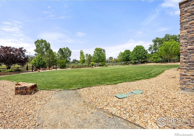 873 Signal Ct, Timnath, CO 80547 - view of yard