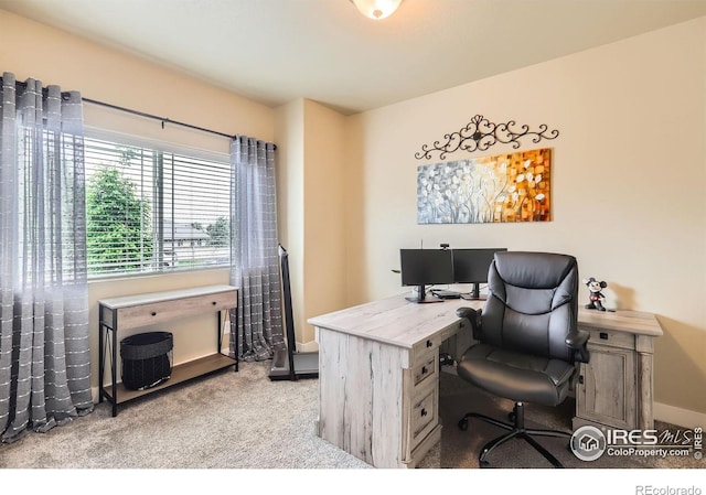 405 Timber Ridge Parkway, Severance, CO 80550 - home office with carpet floors and baseboards
