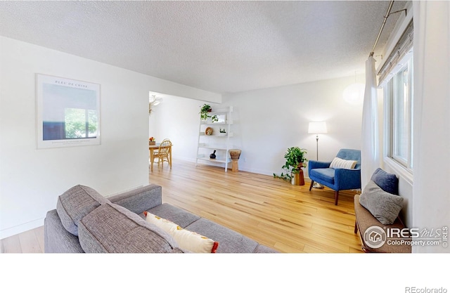 2415 Sunray Ct, Fort Collins, CO 80525 - living room with a textured ceiling, wood finished floors, plenty of natural light, and baseboards