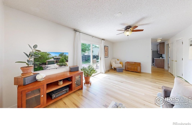 2415 Sunray Ct, Fort Collins, CO 80525 - living area with a textured ceiling, light wood finished floors, and a ceiling fan