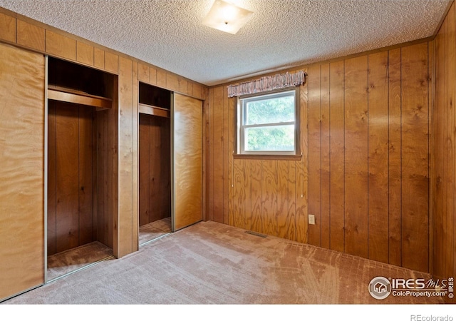 1155 Caroline Ct, Loveland, CO 80537 - unfurnished bedroom with carpet flooring, wooden walls, two closets, a textured ceiling, and elevator