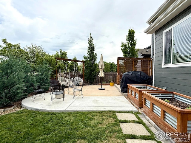 6434 Cloudburst Ave, Timnath, CO 80547 - view of patio / terrace featuring grilling area