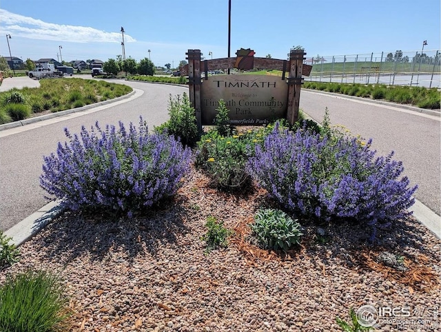 6434 Cloudburst Ave, Timnath, CO 80547 - photo 34