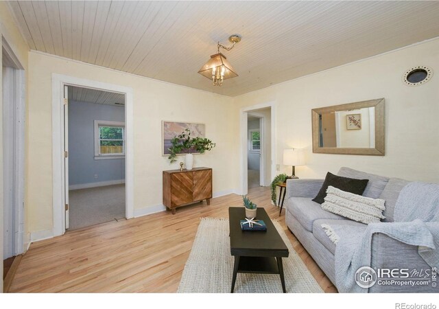 415 Sycamore St, Fort Collins, CO 80521