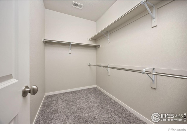 3925 Buckthorn St, Wellington, CO 80549 - walk in closet featuring carpet flooring