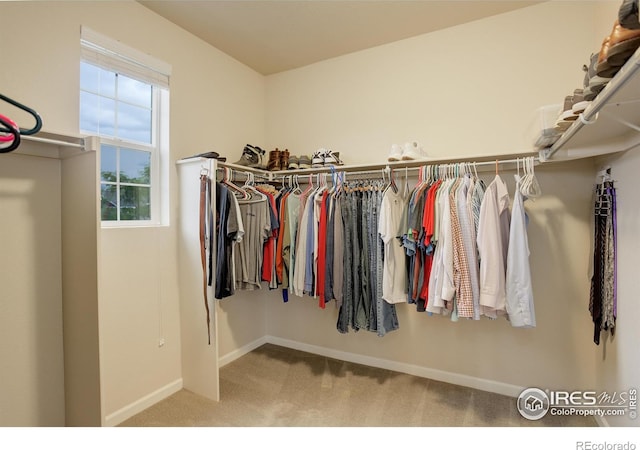 6356 Twilight Ave, Firestone, CO 80504 - spacious closet with carpet