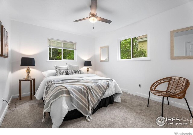 2281 N Garfield Ave, Loveland, CO 80538 - photo 15