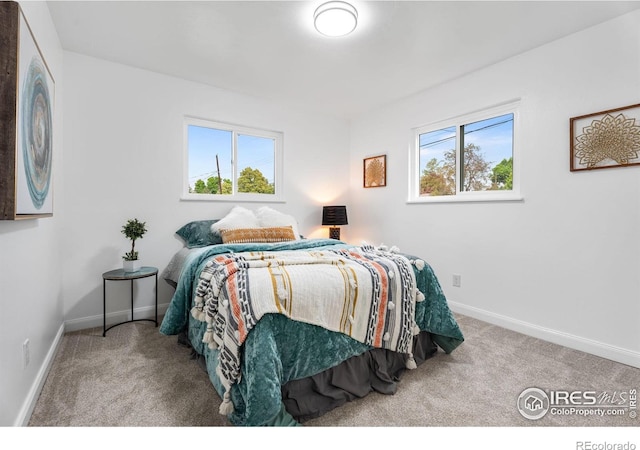 2281 N Garfield Ave, Loveland, CO 80538 - photo 19