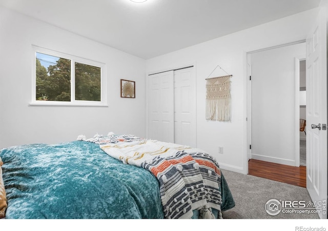 2281 N Garfield Ave, Loveland, CO 80538 - photo 20