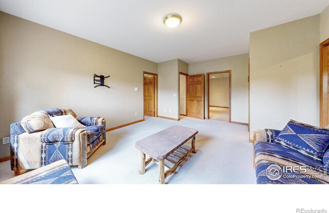 275 Solomon Dr, Estes Park, CO 80517 - photo 16