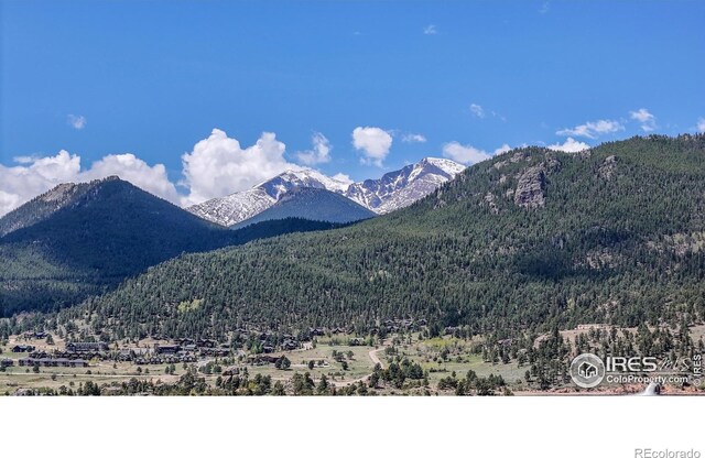 275 Solomon Dr, Estes Park, CO 80517 - photo 37