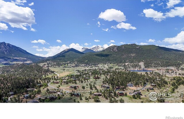 275 Solomon Dr, Estes Park, CO 80517 - photo 38