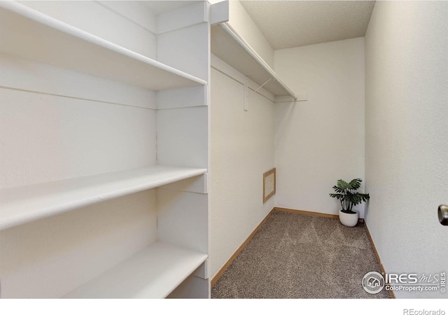 2800 Sundown Ln Unit 109, Boulder, CO 80303 - walk in closet with carpet