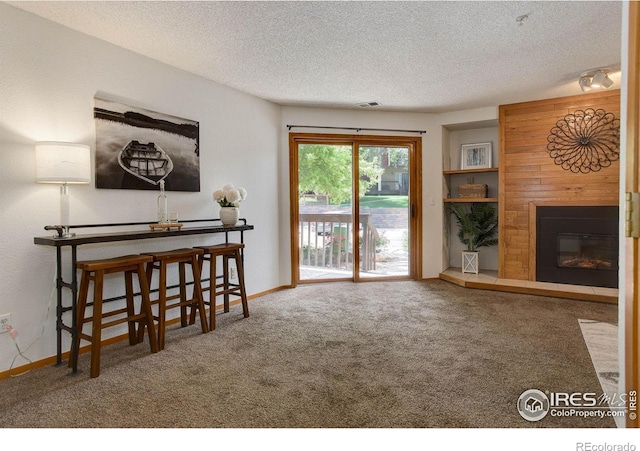 2800 Sundown Ln Unit 109, Boulder, CO 80303 - living area featuring carpet, a fireplace, a textured ceiling, and baseboards