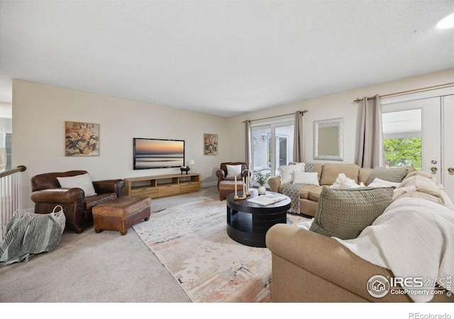 1400 38th Ave, Greeley, CO 80634 - living room featuring carpet flooring