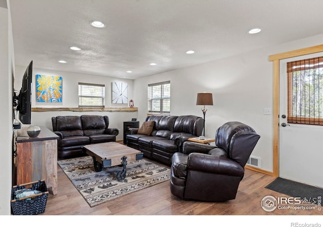 251 Huron Rd, Red Feather Lakes, CO 80545 - living room featuring recessed lighting and wood finished floors