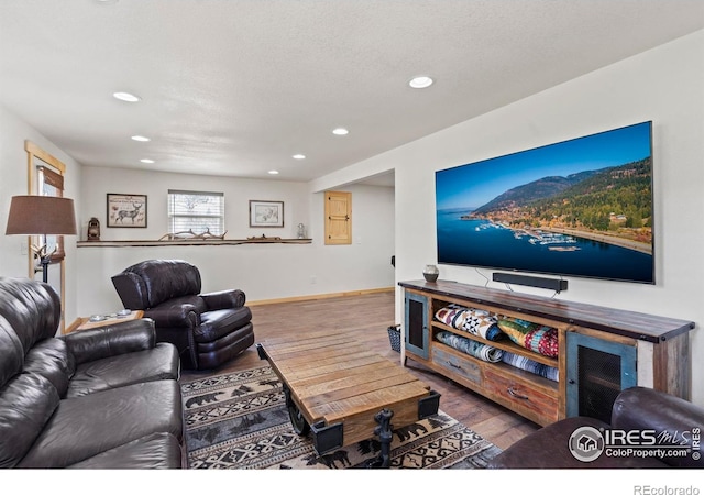 251 Huron Rd, Red Feather Lakes, CO 80545 - living area featuring recessed lighting, wood finished floors, and baseboards