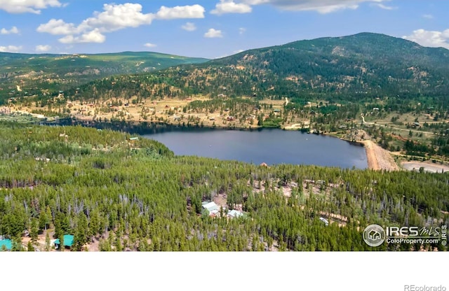 251 Huron Rd, Red Feather Lakes, CO 80545 - aerial view of property's location featuring a water and mountain view and a forest