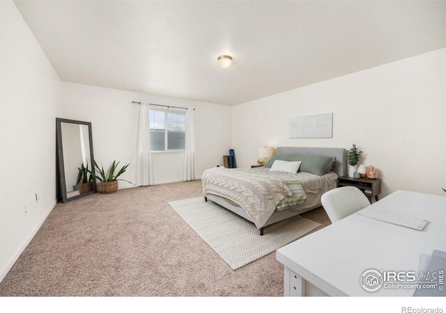4355 24th Street Rd Unit 1103, Greeley, CO 80634 - photo 12