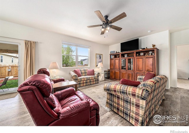 926 Birchdale Ct, Windsor, CO 80550 - living room featuring a ceiling fan and wood finished floors