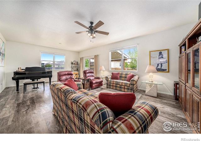 926 Birchdale Ct, Windsor, CO 80550 - living room with wood finished floors, a ceiling fan, and baseboards
