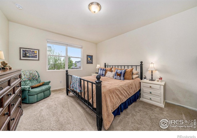 926 Birchdale Ct, Windsor, CO 80550 - bedroom with light carpet and baseboards