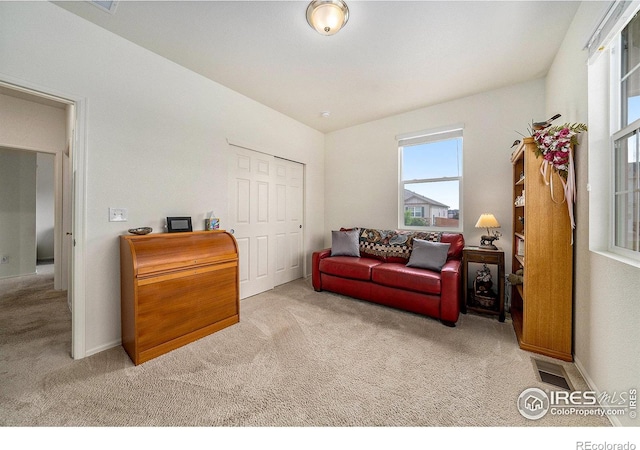 926 Birchdale Ct, Windsor, CO 80550 - sitting room with carpet and baseboards