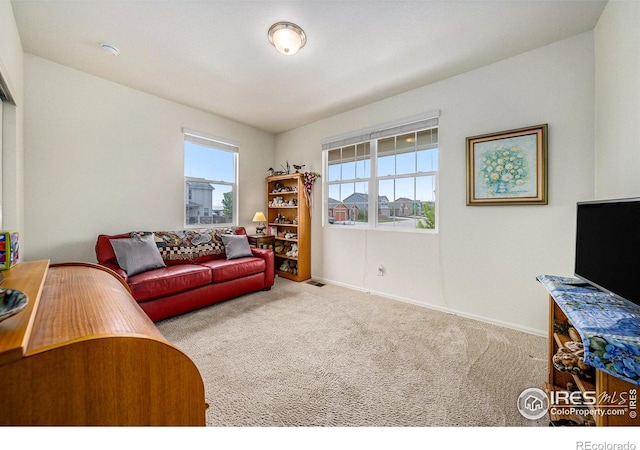 926 Birchdale Ct, Windsor, CO 80550 - carpeted living room featuring baseboards