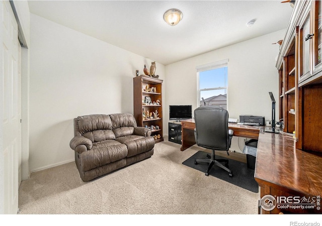 926 Birchdale Ct, Windsor, CO 80550 - office space featuring carpet and baseboards