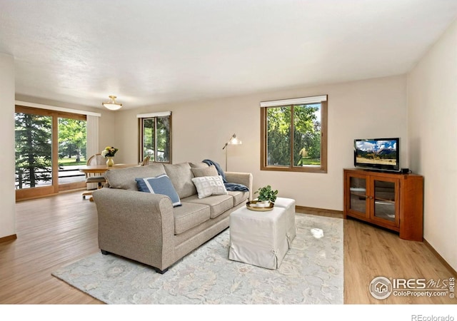 3301 Downing Ct, Fort Collins, CO 80526 - living area with wood finished floors and baseboards
