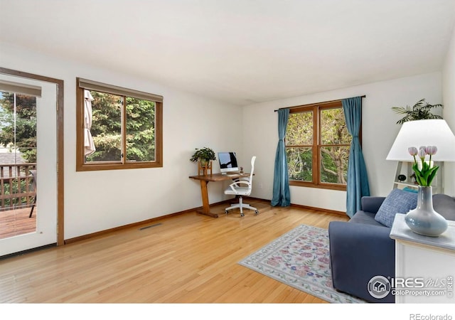 3301 Downing Ct, Fort Collins, CO 80526 - home office featuring wood finished floors, plenty of natural light, and baseboards