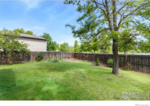 3301 Downing Ct, Fort Collins, CO 80526 - view of yard