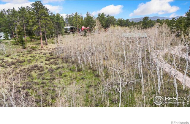 0 Yampa Ln, Red Feather Lakes, CO 80545