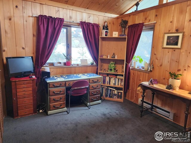 88 Pinyon Trl, Estes Park, CO 80517 - photo 29