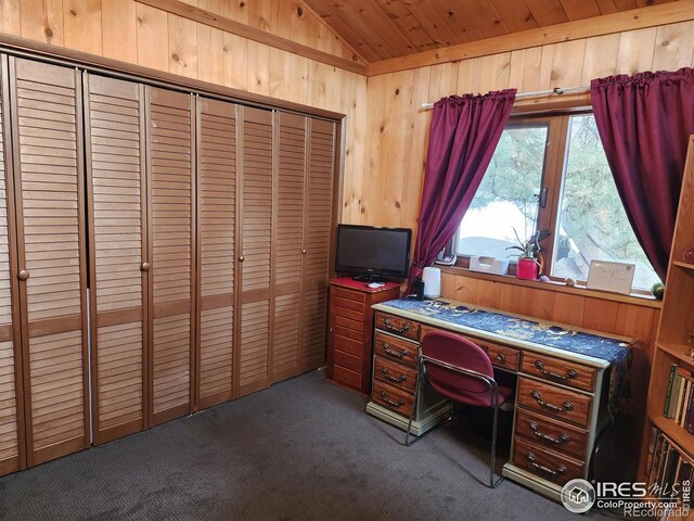 88 Pinyon Trl, Estes Park, CO 80517 - photo 31