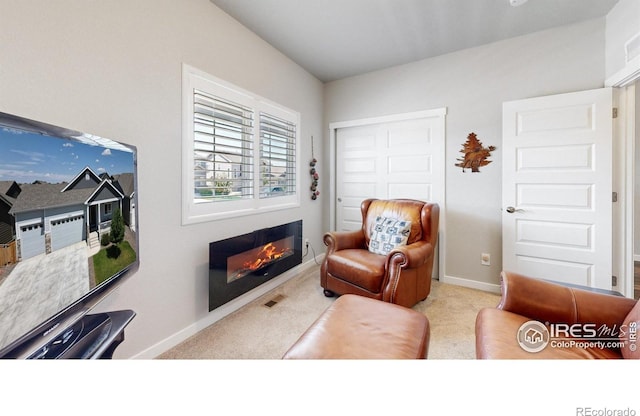 1384 Copeland Falls Rd, Severance, CO 80550 - sitting room with a glass covered fireplace, carpet floors, and baseboards