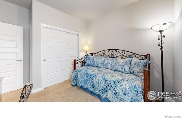1384 Copeland Falls Rd, Severance, CO 80550 - bedroom with carpet floors and a closet
