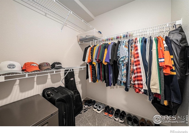 1099 Spartan Ave, Berthoud, CO 80513 - walk in closet featuring carpet