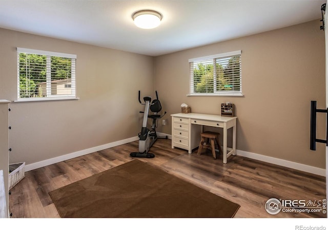 501 Copeland Way, Longmont, CO 80504 - workout area featuring healthy amount of natural light, wood finished floors, and baseboards