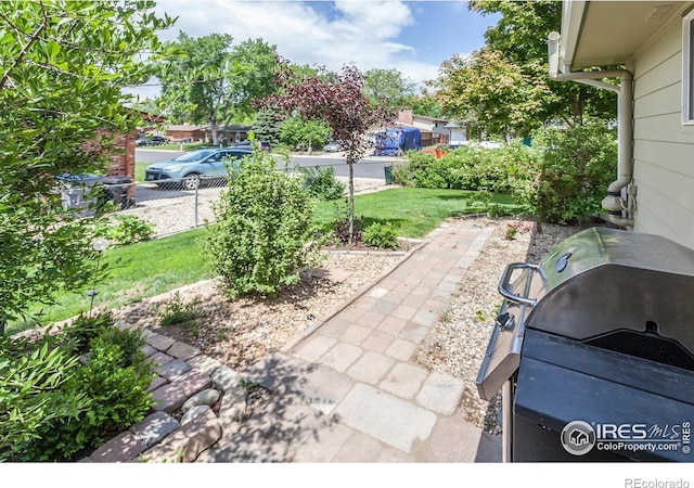 501 Copeland Way, Longmont, CO 80504 - view of patio / terrace