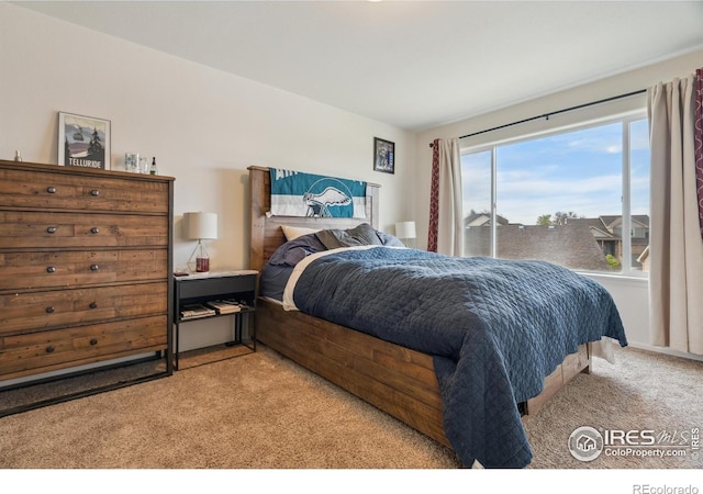 978 Mouflon Dr, Severance, CO 80550 - bedroom featuring light colored carpet