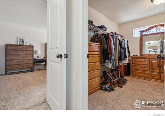978 Mouflon Dr, Severance, CO 80550 - walk in closet with carpet floors