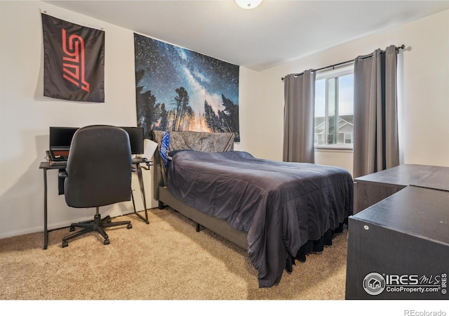 978 Mouflon Dr, Severance, CO 80550 - carpeted bedroom with a desk