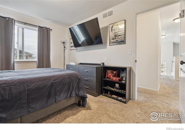 978 Mouflon Dr, Severance, CO 80550 - bedroom with carpet flooring